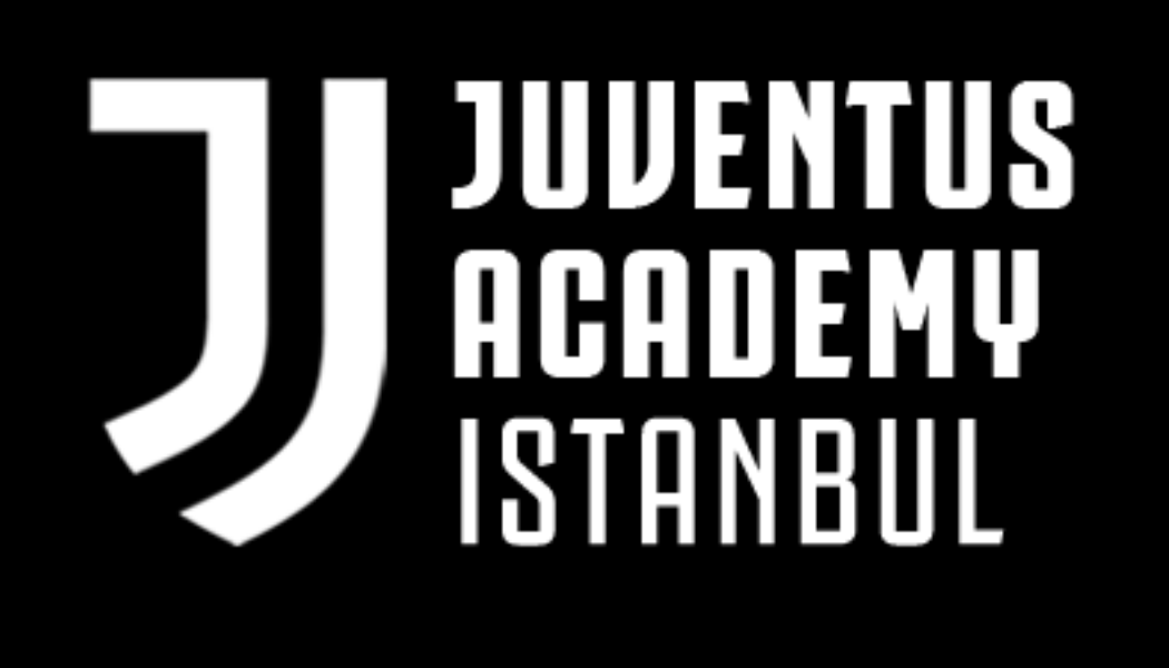 NetSpor Logo